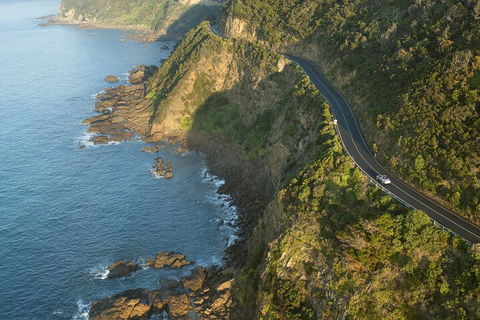 LGBT+ Friendly 2 Day Private Tour Great Ocean Road + Phillip Island - Accommodation Mount Tamborine 4