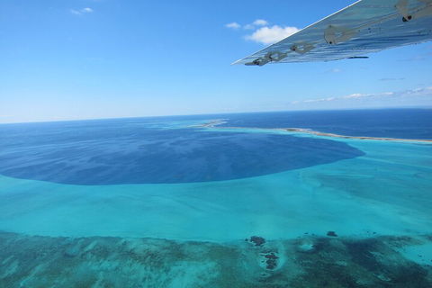 Shipwreck Special Full Day Tour Of The Abrolhos Islands - Accommodation Mount Tamborine 2