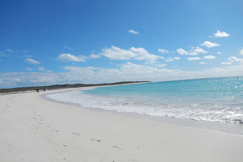 Shipwreck Special Nature Tour/Half Day Tour - Accommodation Mount Tamborine 0