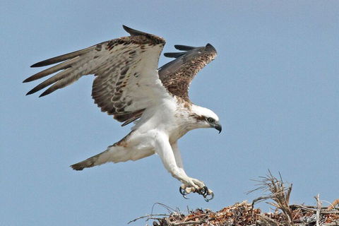 Shipwreck Special Nature Tour/Half Day Tour - Accommodation Mount Tamborine 4