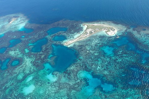 Shipwreck Special Nature Tour/Half Day Tour - Accommodation Mount Tamborine 5