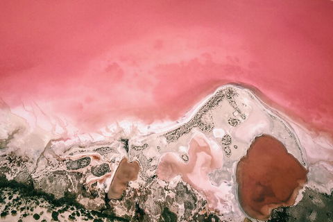 Kalbarri, Pink Lake And Abrolhos Islands Nature Tour - Accommodation Mount Tamborine 2