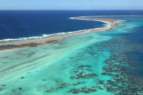 Kalbarri, Pink Lake And Abrolhos Islands Nature Tour - Accommodation Mount Tamborine 3