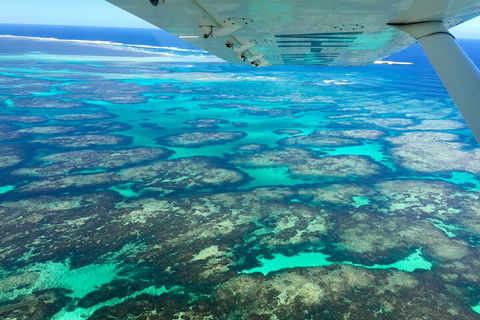 Kalbarri, Pink Lake And Abrolhos Islands Nature Tour - Accommodation Mount Tamborine 5