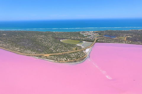 Pink Lake + Abrolhos Islands Nature Tour - Accommodation Mount Tamborine 4