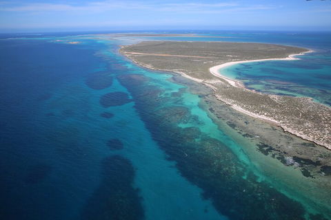 Pink Lake + Abrolhos Islands Scenic Flight - Accommodation Mount Tamborine 0