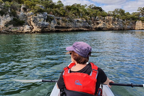 Cliffs And Caves Kayak Tour In Swan River - Accommodation Mount Tamborine 0