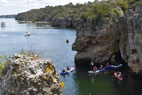 Cliffs And Caves Kayak Tour In Swan River - Accommodation Mount Tamborine 5