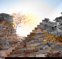 3-Day Kakadu National Park and Arnhem Land Explorer Tour from Darwin - Accommodation Mount Tamborine