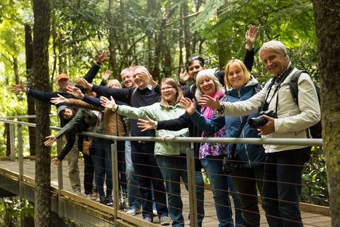 All Inclusive Blue Mountains Small-Group Day Trip From Sydney - Accommodation Mount Tamborine 5