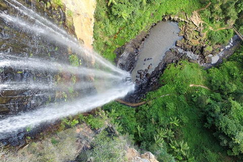 Natural Bridge & Springbrook Waterfalls Tour + Hot Air Balloon With Breakfast - Accommodation Mount Tamborine 1