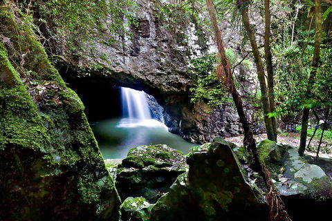 Natural Bridge & Springbrook Waterfalls Tour + Hot Air Balloon With Breakfast - Accommodation Mount Tamborine 4