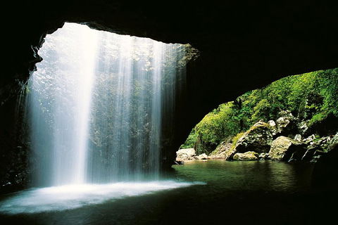 Natural Bridge & Springbrook Waterfalls Tour - Accommodation Mount Tamborine 0