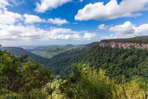 Natural Bridge & Springbrook Waterfalls Tour - Accommodation Mount Tamborine 1