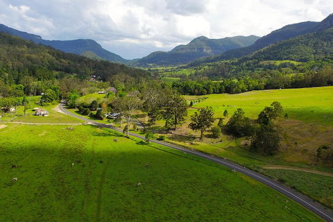 Natural Bridge & Springbrook Waterfalls Tour - Accommodation Mount Tamborine 2