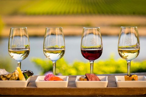 West Tamar Wine Tour - Accommodation Mount Tamborine 1