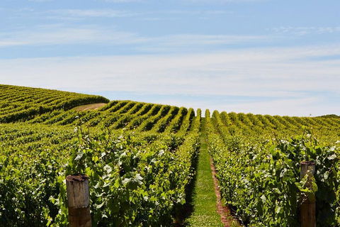 West Tamar Wine Tour - Accommodation Mount Tamborine 2