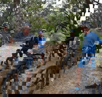 Fully guided E-Mountain Bike Tour on the beautiful Mornington Peninsula. - Accommodation Mount Tamborine