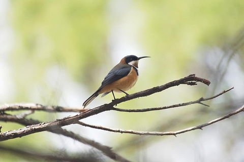 Private Blue Mountains Insider Tour From Sydney - Accommodation Mount Tamborine 2