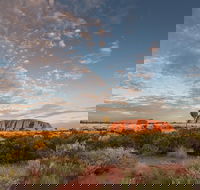 Uluru Kata Tjuta and Kings Canyon Camping Safari from Alice Springs - Accommodation Mount Tamborine