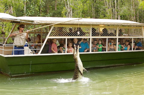 Hartley's Crocodile Adventure Half-Day Tour - Accommodation Mount Tamborine 0