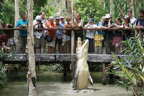 Hartley's Crocodile Adventure Half-Day Tour - Accommodation Mount Tamborine 1