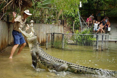 Hartley's Crocodile Adventure Half-Day Tour - Accommodation Mount Tamborine 2