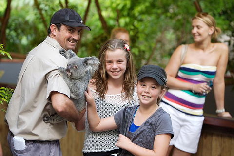 Hartley's Crocodile Adventure Half-Day Tour - Accommodation Mount Tamborine 3