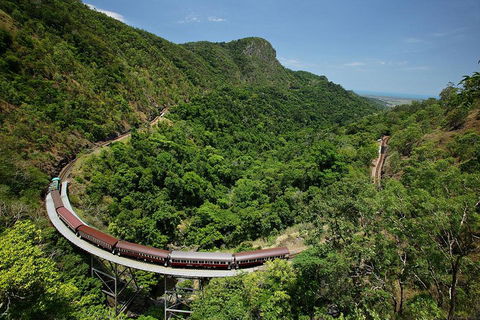 Skyrail Rainforest Cableway Day Trip From Cairns - Accommodation Mount Tamborine 5
