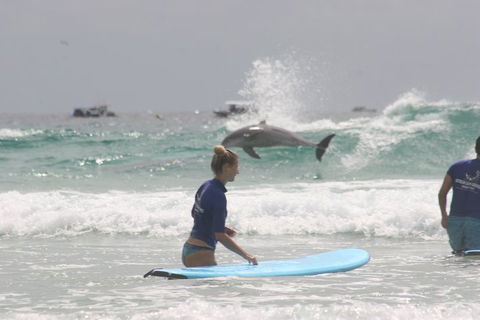 10-Day Surf Adventure From Sydney To Brisbane Including Coffs Harbour, Byron Bay And Gold Coast - Accommodation Mount Tamborine 0