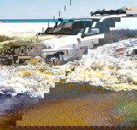 Full-Day Moreton Island 4x4 Sightseeing Tour - Accommodation Mount Tamborine