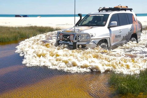 Full-Day Moreton Island 4x4 Sightseeing Tour - Accommodation Mount Tamborine 0