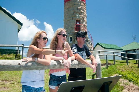 Full-Day Moreton Island 4x4 Sightseeing Tour - Accommodation Mount Tamborine 3