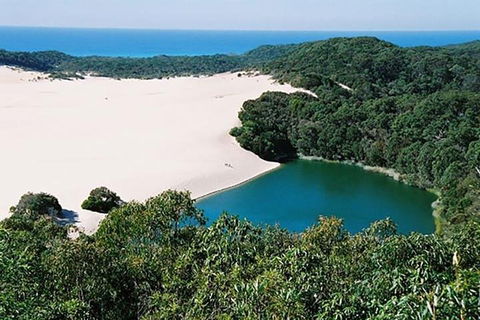 Full-Day Moreton Island 4x4 Sightseeing Tour - Accommodation Mount Tamborine 5