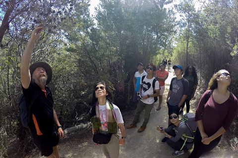 Active Day Tour One-Way From Launceston To Hobart Via Wineglass Bay - Accommodation Mount Tamborine 0