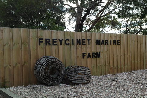Active Day Tour One-Way From Launceston To Hobart Via Wineglass Bay - Accommodation Mount Tamborine 3