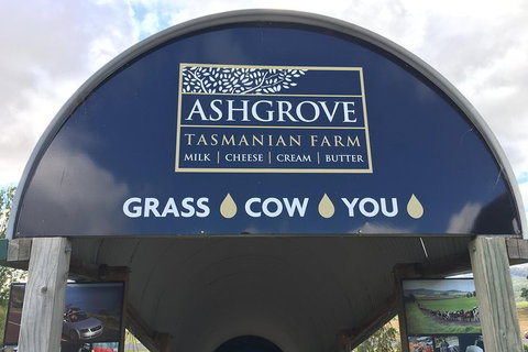 Cradle Mountain Active Day Trip From Launceston - Accommodation Mount Tamborine 4