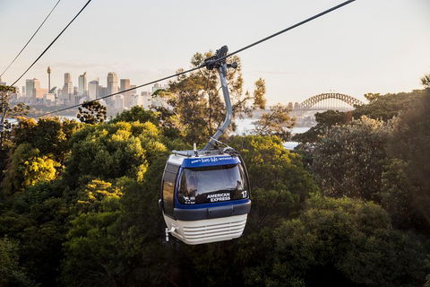 Australia Multi-City Attractions Pass - Accommodation Mount Tamborine 5
