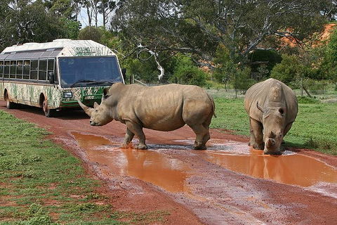 The Ultimate Melbourne Attractions Pass - Accommodation Mount Tamborine 4