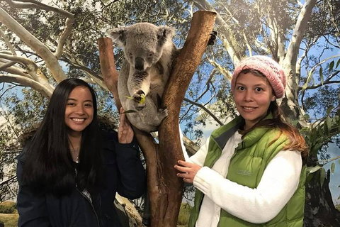 The Ultimate Sydney Attractions Pass - Accommodation Mount Tamborine 1