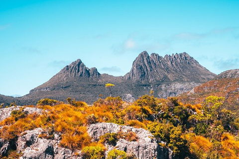 Cradle Mountain National Park Day Tour From Launceston - Accommodation Mount Tamborine 1