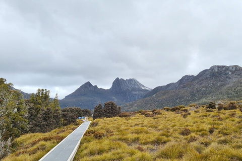 Cradle Mountain National Park Day Tour From Launceston - Accommodation Mount Tamborine 2