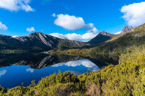Cradle Mountain National Park Day Tour From Launceston - Accommodation Mount Tamborine 3