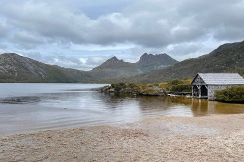 Cradle Mountain National Park Day Tour From Launceston - Accommodation Mount Tamborine 4