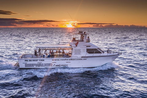 Kalbarri Sunset Coastal Cliff Cruise - Accommodation Mount Tamborine 2