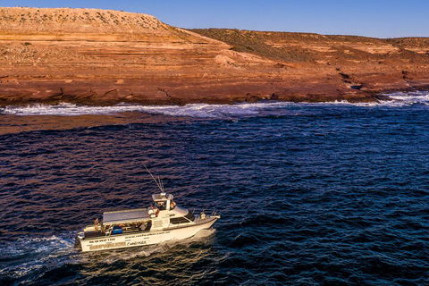 Kalbarri Sunset Coastal Cliff Cruise - Accommodation Mount Tamborine 4