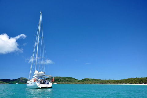 Sailing Curlew Escape On Moreton Bay - Accommodation Mount Tamborine 5