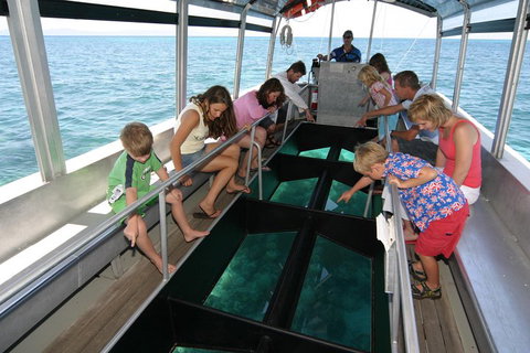 Green Island Discovery Including Glass Bottom Boat Tour Departing Cairns - Accommodation Mount Tamborine 5