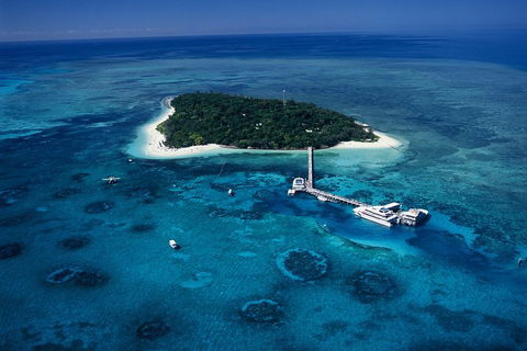 Green Island Day Trip Including Seawalker Helmet Dive COMBO - Accommodation Mount Tamborine 5