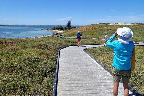 Penguin And Seal Islands Sea Kayaking Experience - Accommodation Mount Tamborine 1
